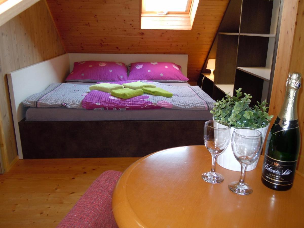 Apartment Wellness Vlckova מראה חיצוני תמונה