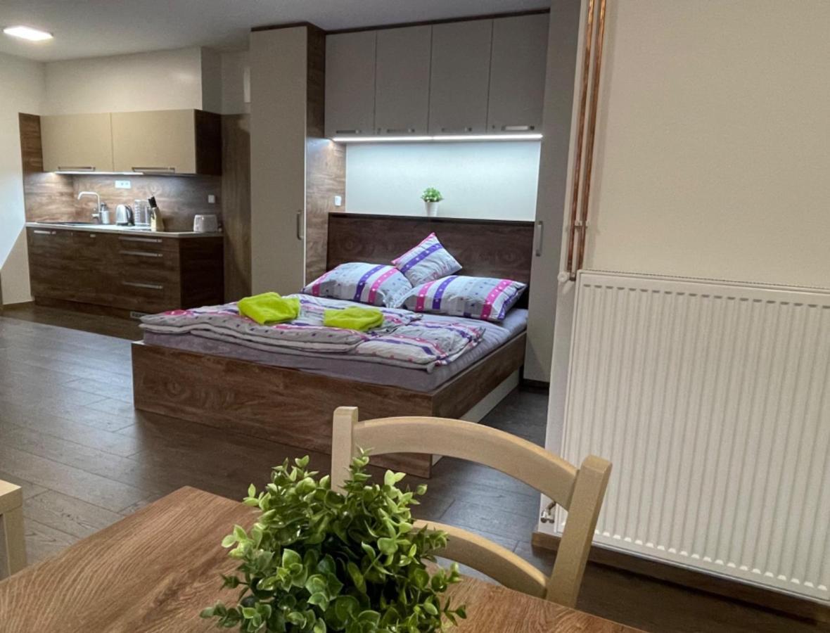Apartment Wellness Vlckova מראה חיצוני תמונה